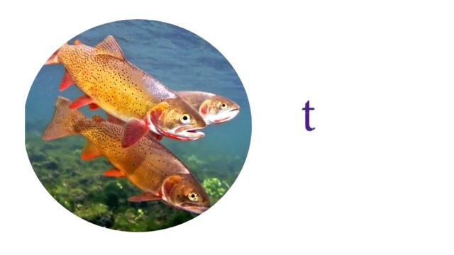 Pirate Jack Looks for Treasure (pre-teaching) смотреть онлайн