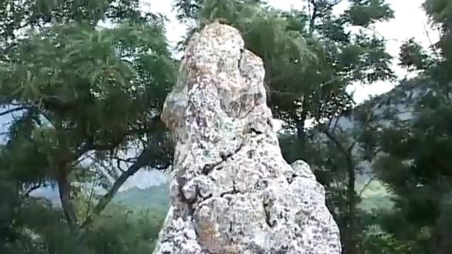 Мир без границ Конные прогулки лето 10'34'' 15 02 10 смотреть онлайн