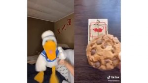 Donald Duck And The Mouse Trap (A Funny TikTok Video By DonaldDucc) Effects Inverted
