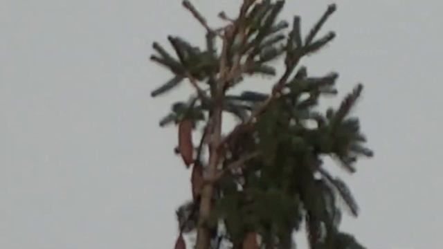 sony xh400 смотреть онлайн