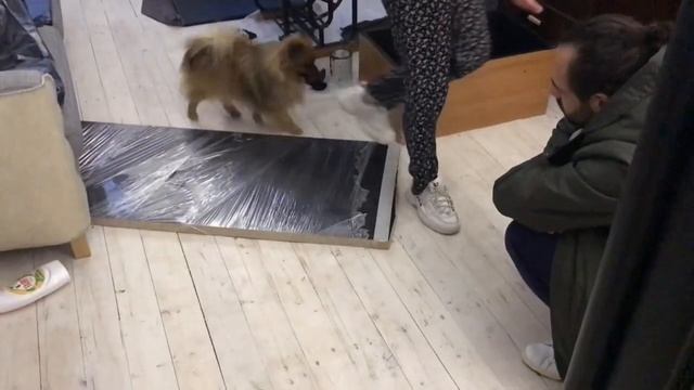 Красивый холодильник своими руками, перекраска Покрасила кухонные фасады Обновление кухни Часть 2 смотреть онлайн