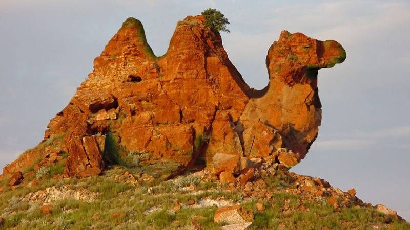 СЕКРЕТЫ ПЛАНЕТЫ ЗЕМЛЯ.Зоопарк Discovery Online