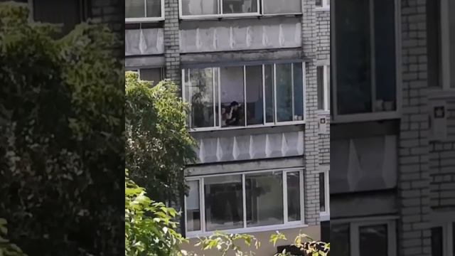 Кидались мусором с балкона смотреть онлайн