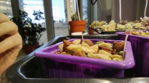 Снимаем кожуру семечки  с ростка перца