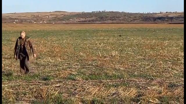 Вест волок зайца (кролика). смотреть онлайн