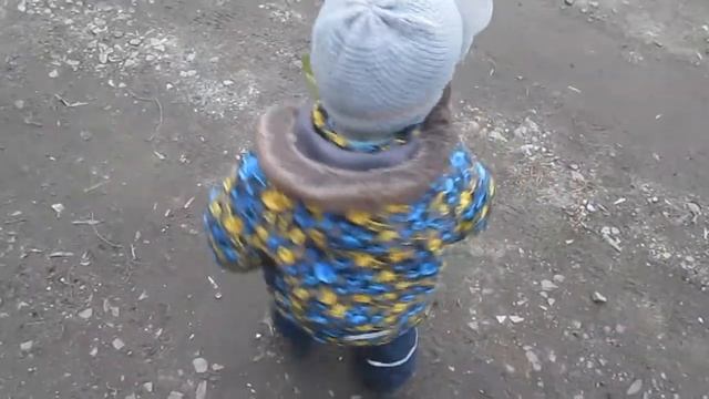 Мишка Панда кормит собачку Ротвейлера и Едет на Самокате Видео для детей Развлекательное смотреть онлайн