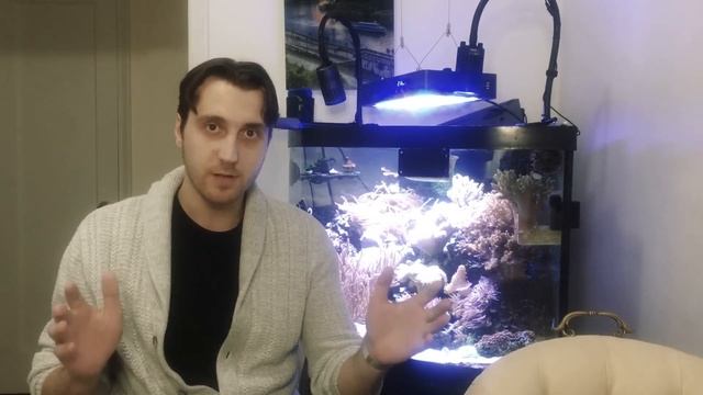 Обсуждаем свет в морском аквариуме. Лампы и светильники для рифа смотреть онлайн