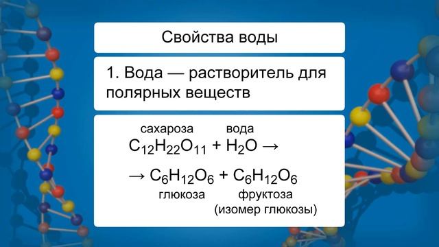 Вода и её роль в жизнедеятельности клетки смотреть онлайн