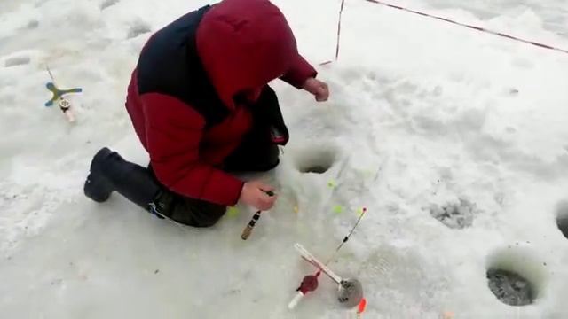 Спортзона смотреть онлайн