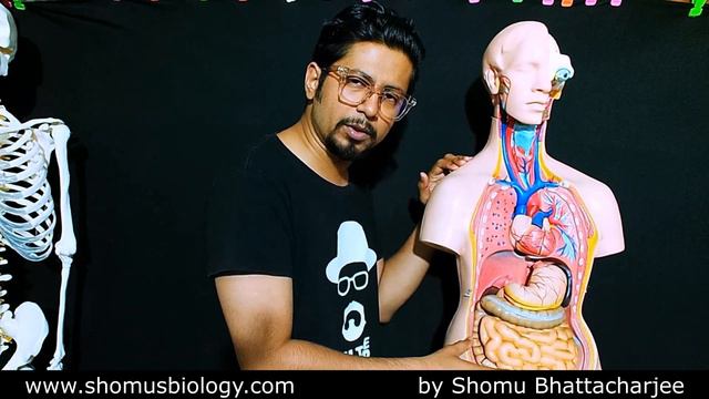 Meftal spas tablet review | Meftal spas tablet kis kaam aati hai | Meftal spas tablet uses in Hindi смотреть онлайн