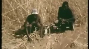 Охота на анаконды