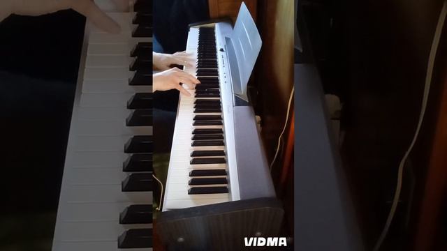 Tim Gagan's Music-The Cotton Fields Back Home смотреть онлайн