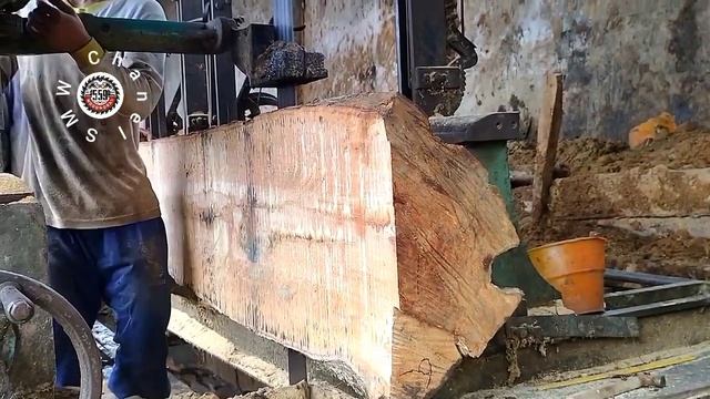 Sawing And Cutting Spectacular Rare Wooden Monsters || #Sawmill