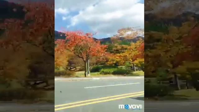 Горы ⛰ в Южном Корее .прогулка по ⛰ смотреть онлайн