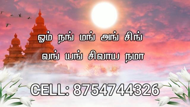 நடிகர்கள் மாதிரி நீங்களும் பிரபலமடைய எளிமையான தாந்த்ரீகம் நடிகர்கள் வசியம் смотреть онлайн