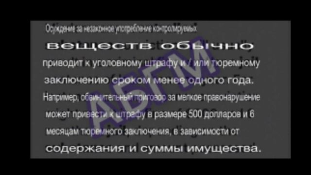 СВЭЙ ХАЙС АРЕСТОВАЛИ? sway house arrested? Брайс Холл, Джейден Хослер. Bryce Hall and Jaden Hossler смотреть онлайн