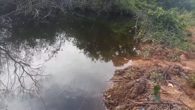 Hunting Indo-pacific tarpon@bulan bulan ( part 1) смотреть онлайн
