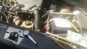 С Логаном,что то произошло!(после раскоксовки ДИМЕКСИДОМ)