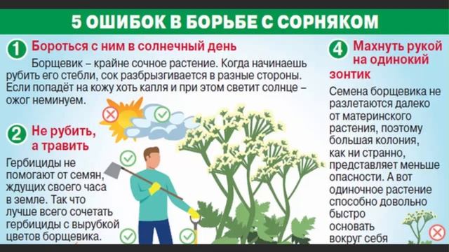Новые методы борьбы с БОРЩЕВИКОМ! смотреть онлайн
