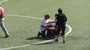 Собака вырубила фигуранта