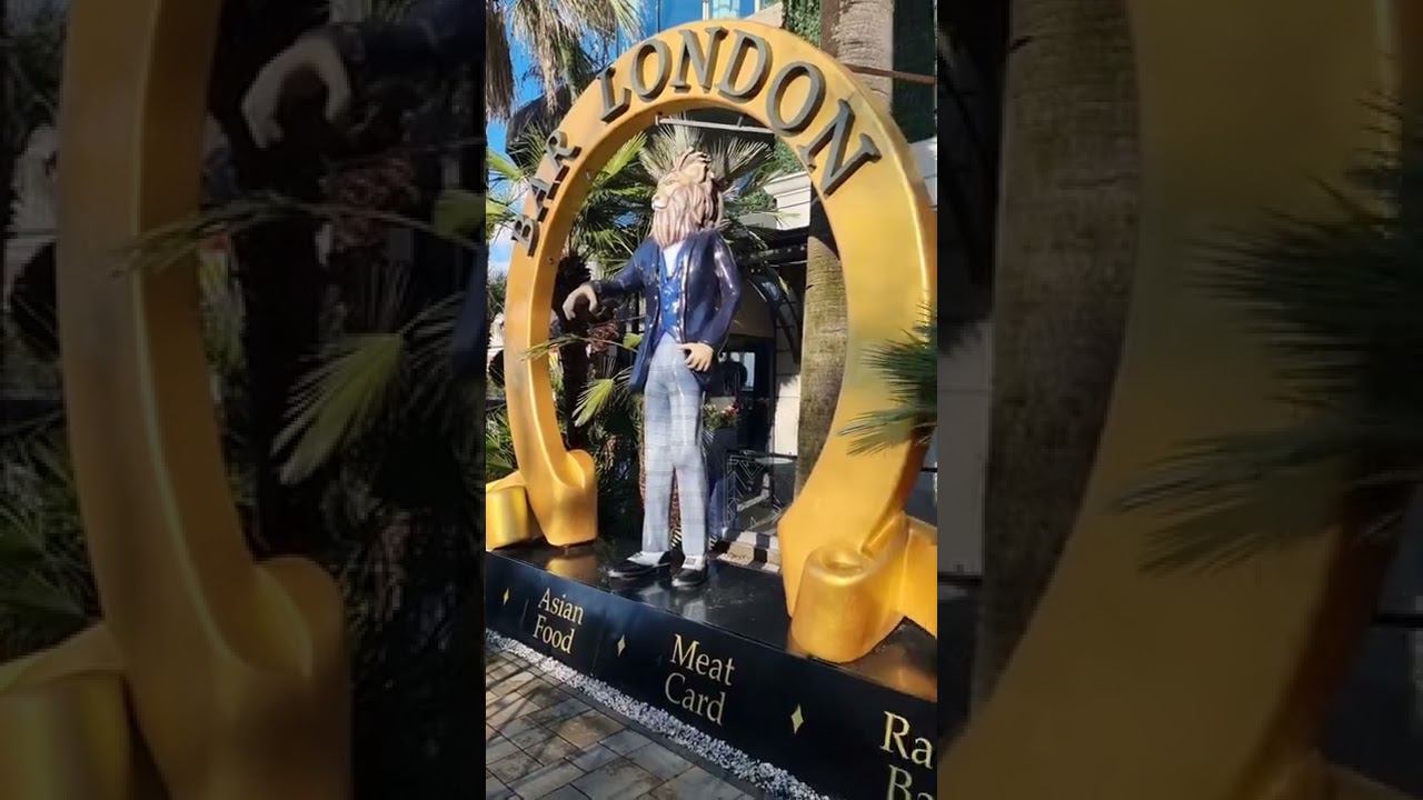 Прогулка по Сочи на сигвее январь 2022г смотреть онлайн