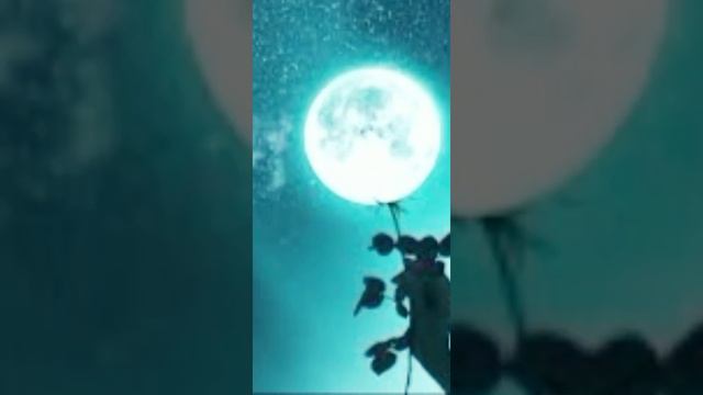 красивые картинки с луной 🌙☄️ смотреть онлайн