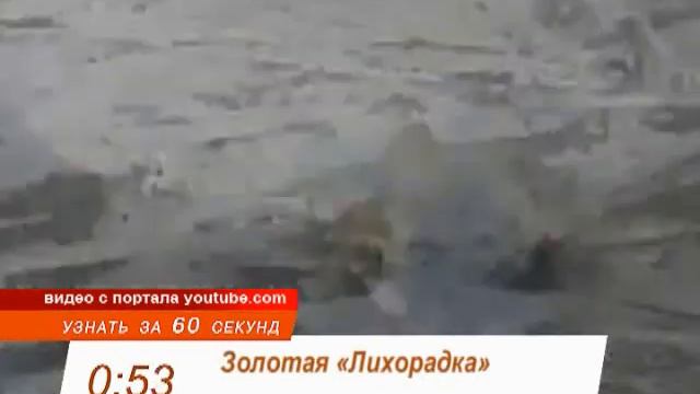 2303 ТОН 1 смотреть онлайн