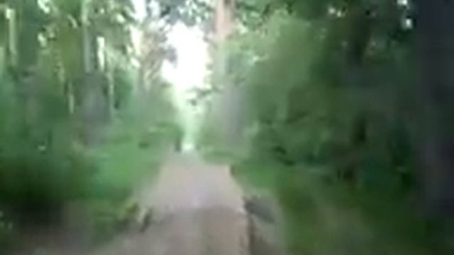 Лесная дорога смотреть онлайн