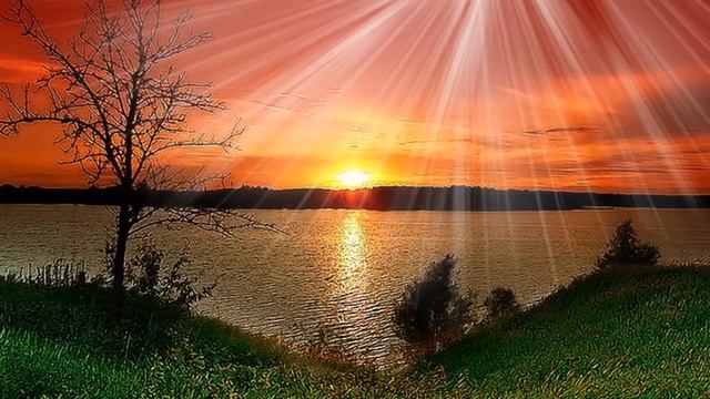 Солнечные зайчики шоу группа Улыбка смотреть онлайн