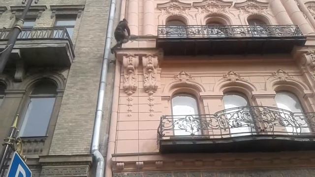 Киирочная 24. Осыпание штукатурки 2 смотреть онлайн