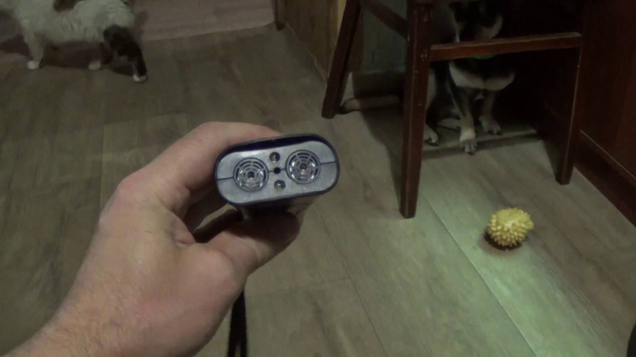 Китайский отпугиватель собак не работает . смотреть онлайн