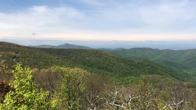 Day 68 | How The Appalachian Mountains Were Formed, Shenandoah, + 900 Miles! | AT Thru Hike 2021