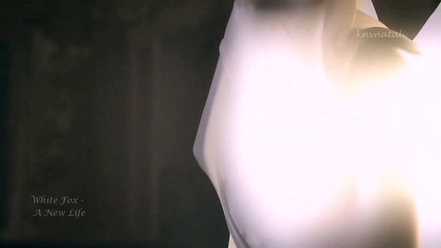 White Fox - A New Life