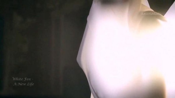 White Fox - A New Life