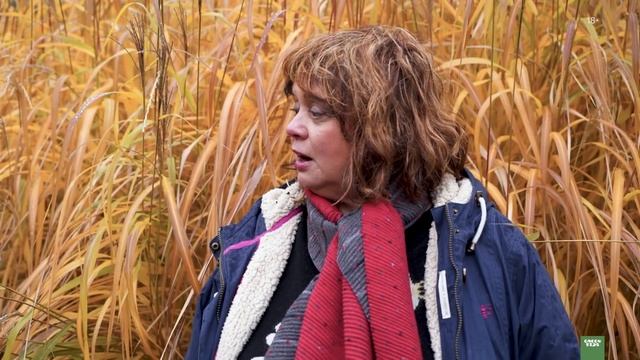 Обзор сада в альпийском стиле. Подмосковье. смотреть онлайн