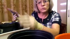 Лилейники купили рано, что делать?