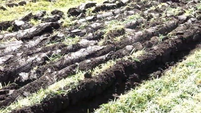 МБ Брайт работа с плугом Запашка ржи смотреть онлайн