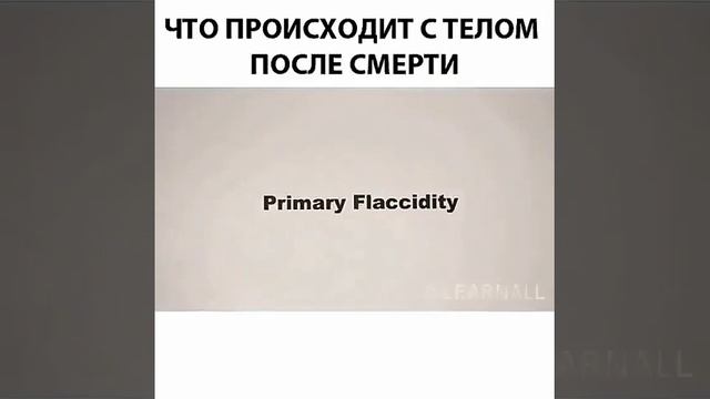 Что происходит с телом после смерти? смотреть онлайн