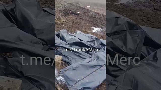 Передоз свинцом 4х колумбийских наемников наемников смотреть онлайн