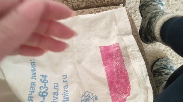 Забой петухов в квартире. Свекольник - открытие для меня. Цены на овощи шокируют. смотреть онлайн