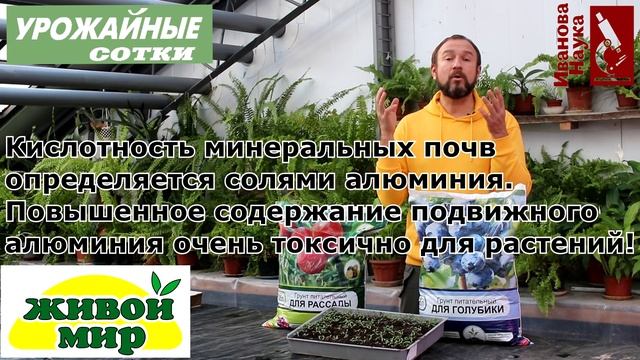 Сажаем голубику, азалии, рододендроны и гортензии с гарантией! смотреть онлайн