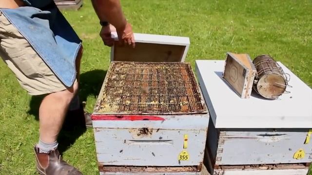 Базовый видеокурс пчеловодства Университета г.Гвелф для начинающих пчеловодов (Канада) смотреть онлайн