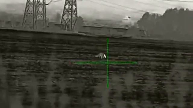 IRay Geni GL35 LRF лов на хищник през храсти смотреть онлайн