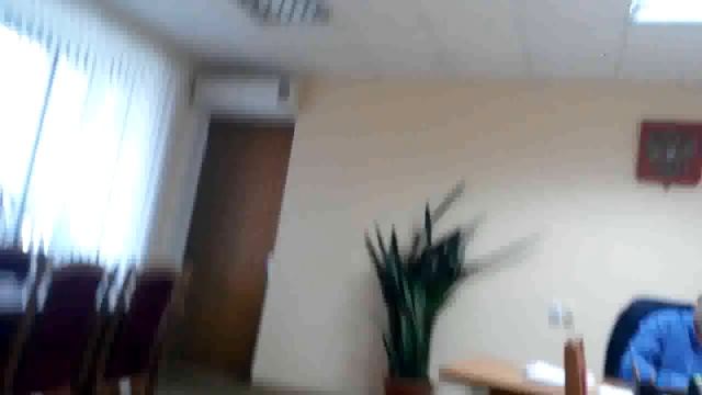 Коронованные существа. Председатель суда Костин. смотреть онлайн