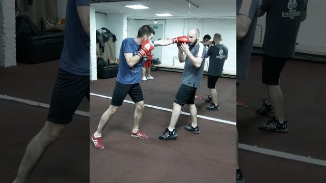 тренировка бо боксу для начинающих смотреть онлайн