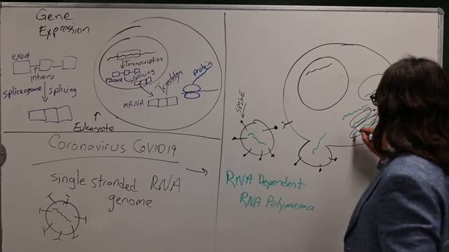 GIT Review смотреть онлайн