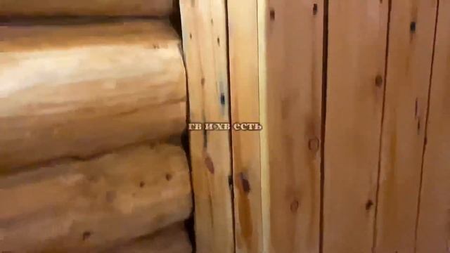 Баня из Кедра Алтай Хутор Кедровый смотреть онлайн