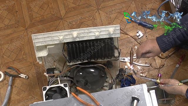 Ремонт холодильника Siemens KI39FP60RU смотреть онлайн