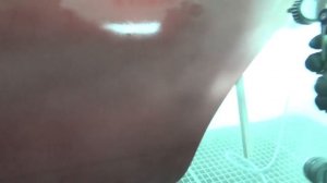 Краскопульт за 5000 рублей меня удивил! Какая серия лучше ST или DB!? Снова Isistem Isprey!