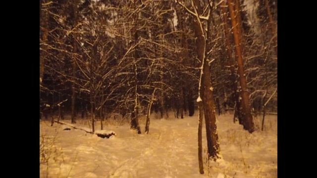 Фотоохота на орбов. Орбы смотреть онлайн